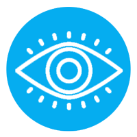 Vision